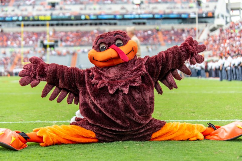 Hokie bird