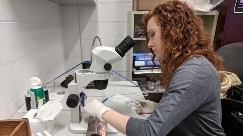 Russell in early stages of research in fall 2019