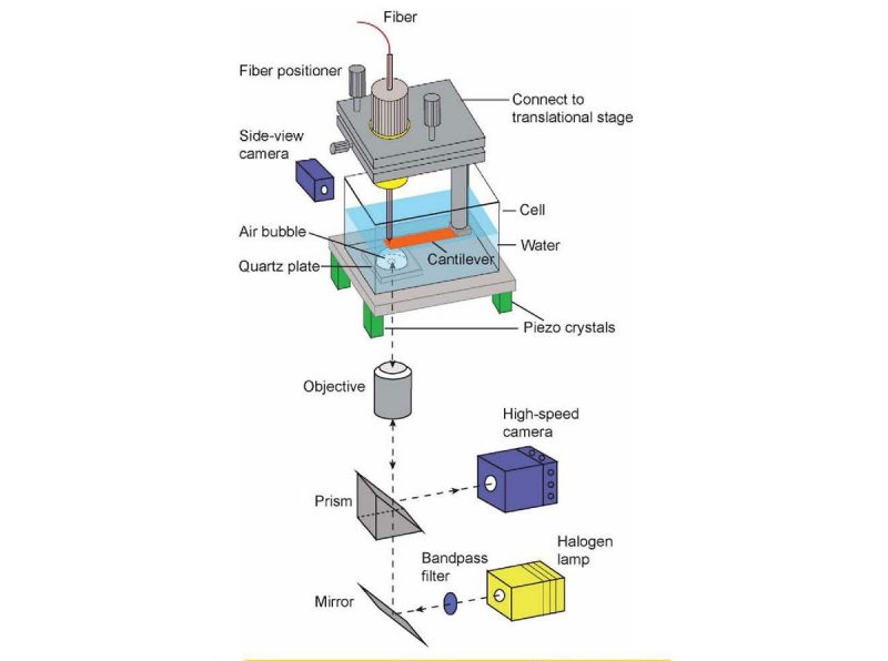 schematic of the force apparatus used in Huang's research